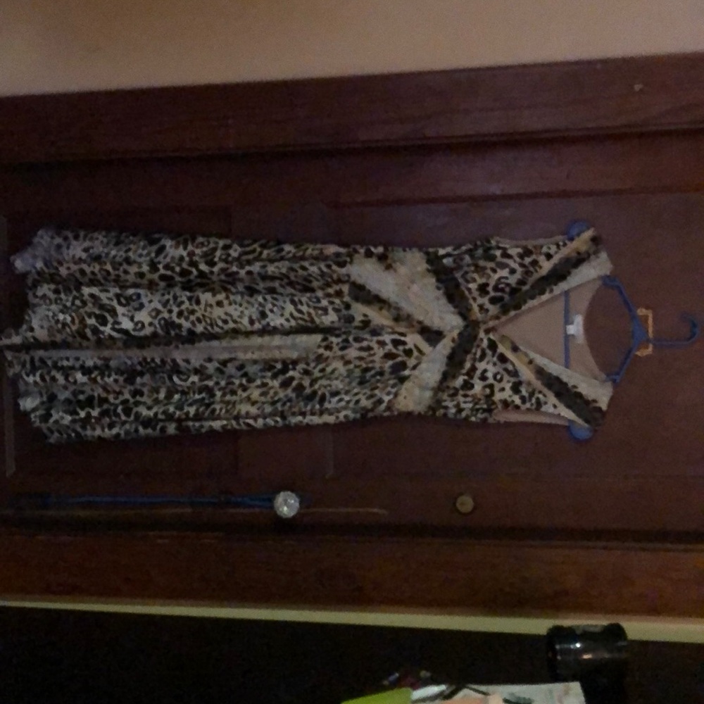 Animal Print Dress